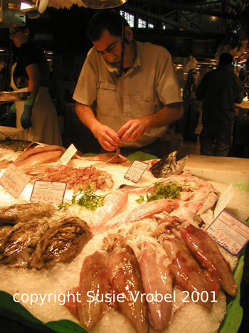 susie vrobel barcelona4